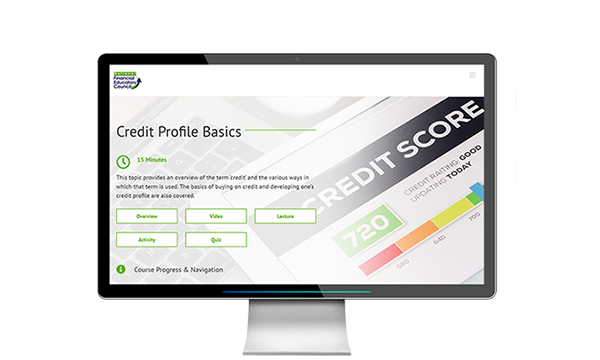 Online Financial Literacy Program for the Texas Financial Educators Council